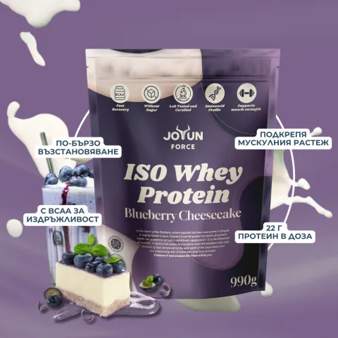 Суроватъчен Протеин – Боровинков Чийзкейк (990гр) - alternate view