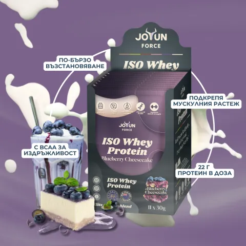 Суроватъчен Протеин – Боровинков Чийзкейк (11×30гр) - alternate view